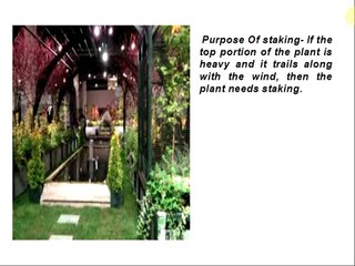 Benefits of Plant supports