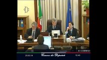 Roma - Audizione Ministro Poletti (25.03.14)