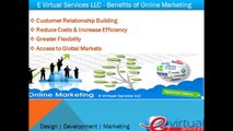 E Virtual Services LLC - Internet Marketing Services in India, Minneapolis