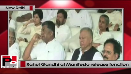 Rahul Gandhi at Congress'2014 Lok Sabha poll manifesto release function
