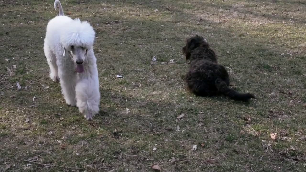 Ein Nachmittag am Luch mit Albert & Caya