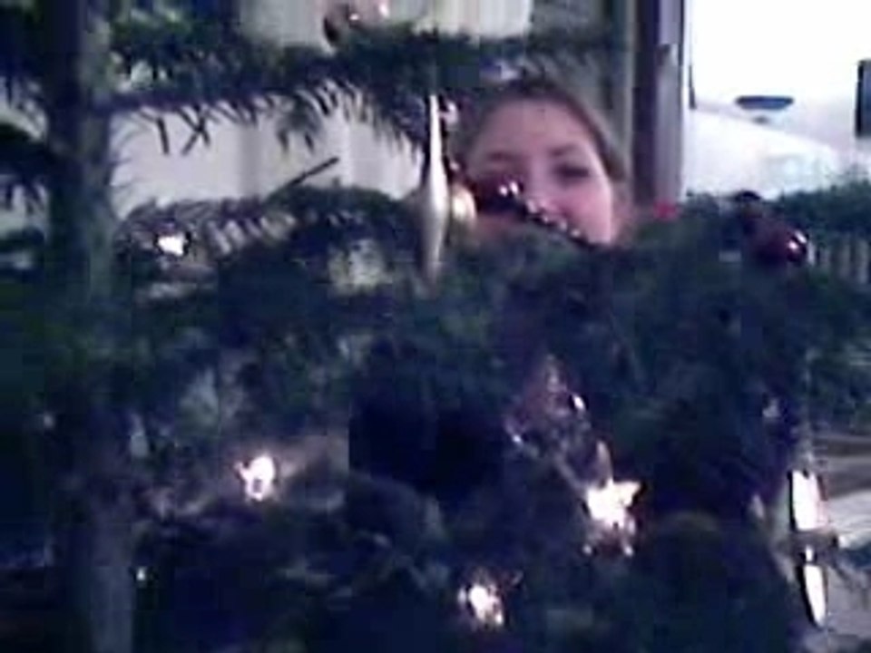 Sapin d'Noel 2006!