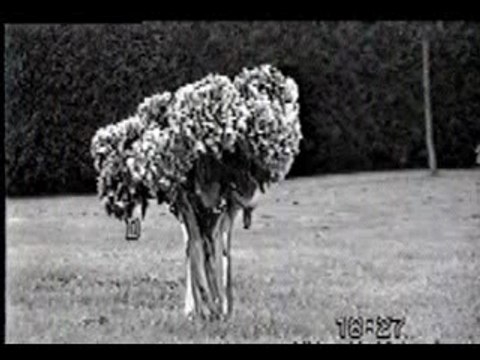 Concert à Villers sur mer