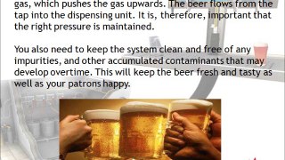 Commercial Draft Beer Systems are of Utmost Importance for Any Commercial Bar