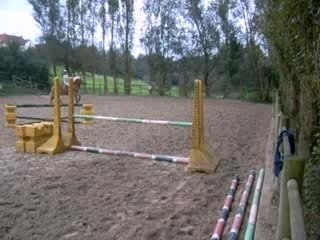 Odile et Armani : Rencontre à Kesaque 🏢
