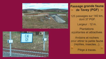 TGV MARS-AVRIL 2013 SUR LGV RHIN-RHÔNE