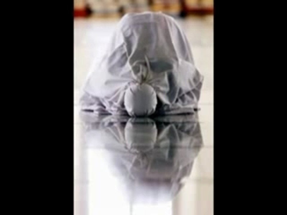 Zain Bhikha - Have you ever Heard...