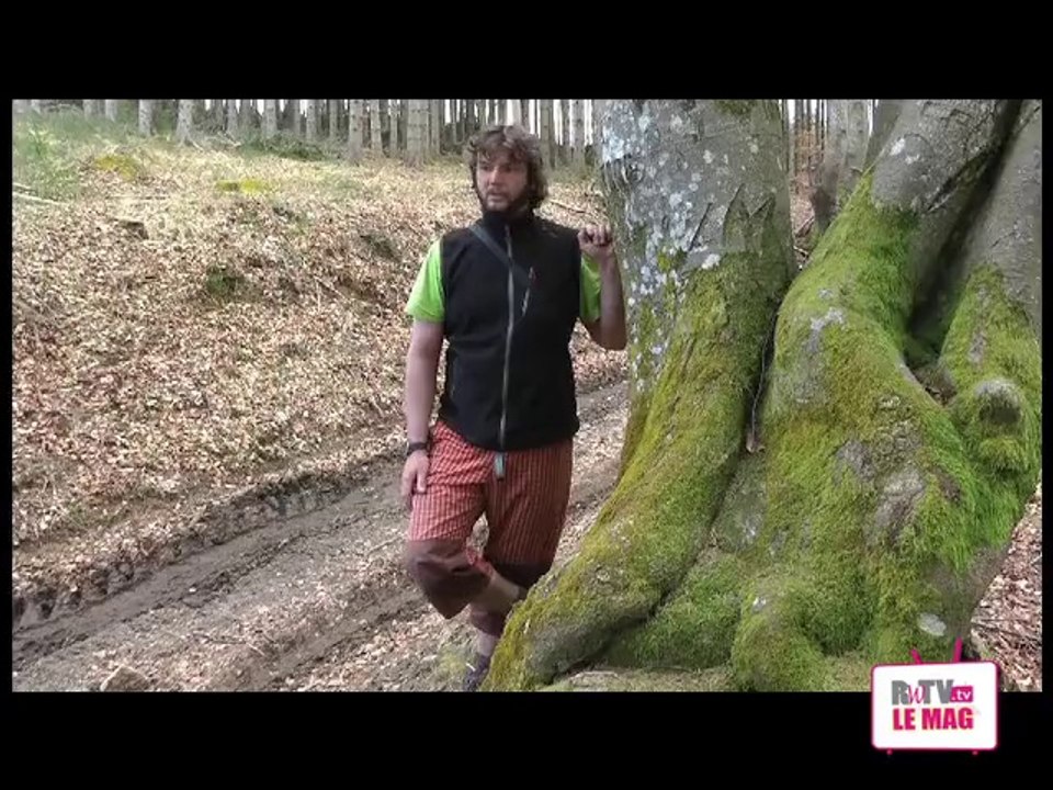 Votez pour l'allée des géants