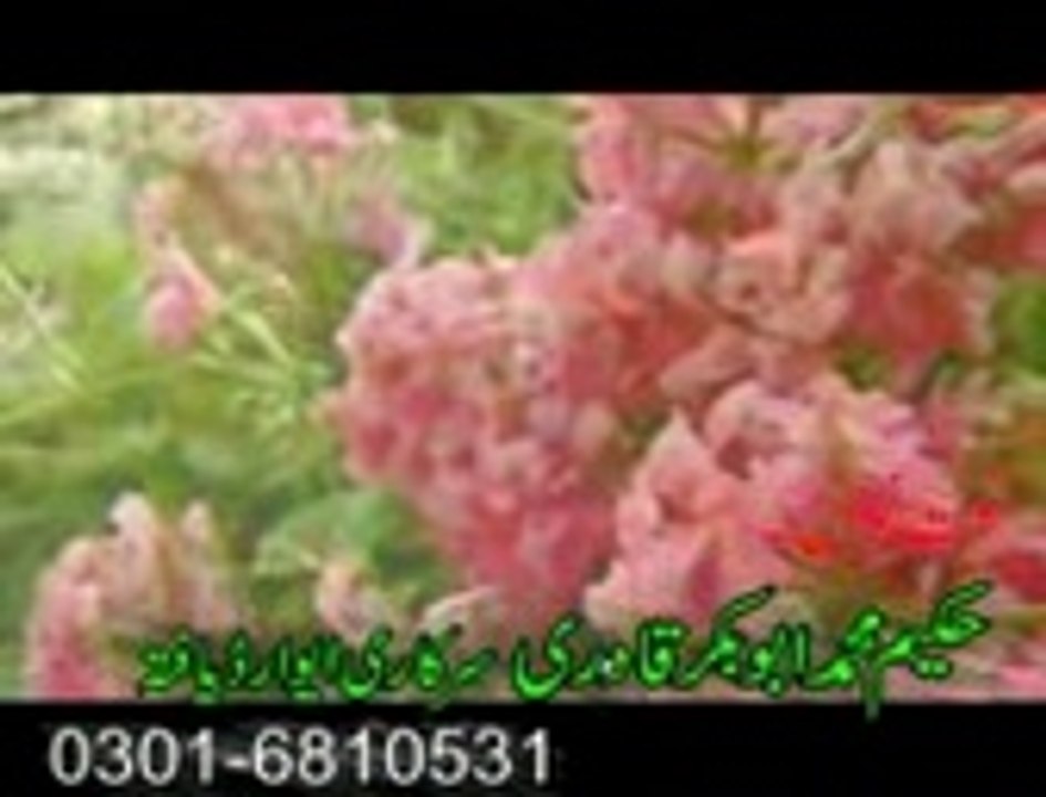 VTS_08_1_mpeg4