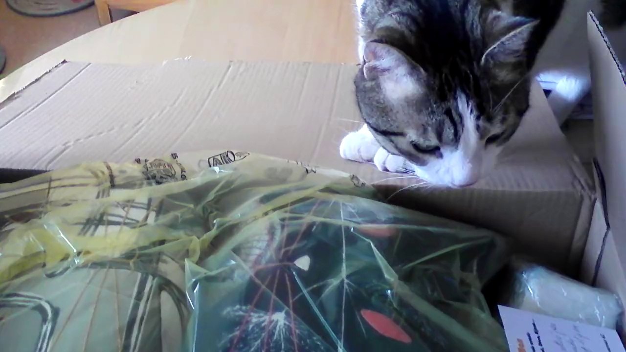 ERAGON découvre son carton