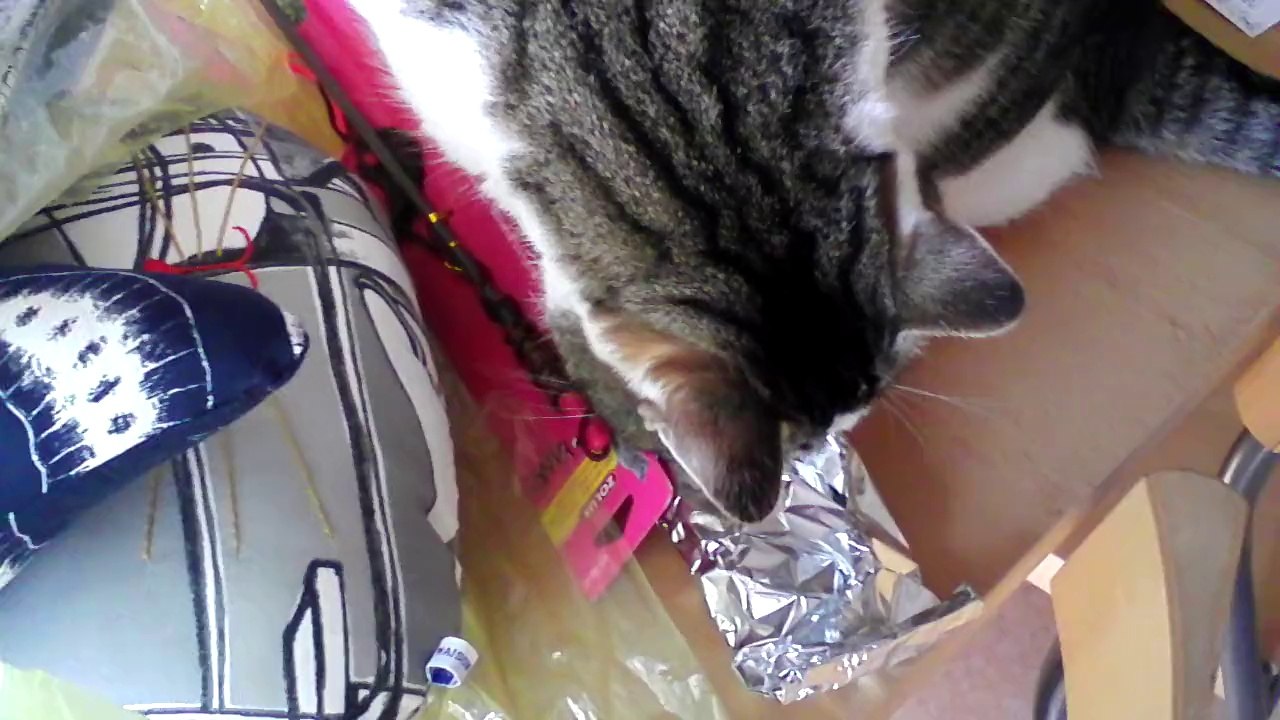 Eragon et SON carton suite!