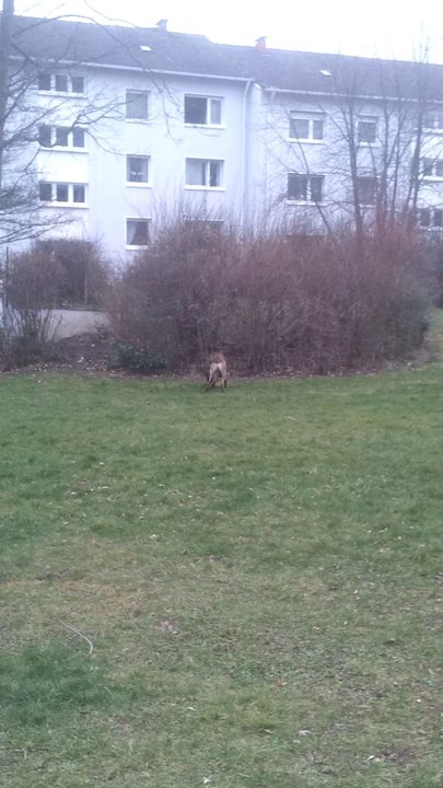 Wir festigen das 'aus' ;)