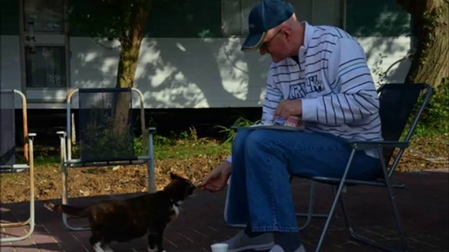 Breach Barns Park - Sines Parks