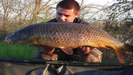 Dynastie Baits Product Nos prises 2014