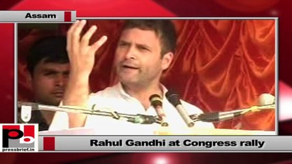 Rahul Gandhi Campaigns in Assam