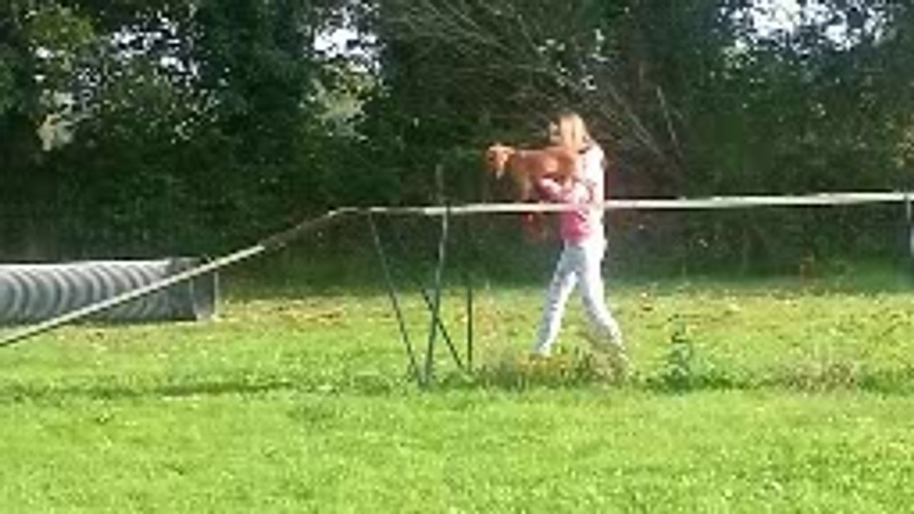 Iris a 4 mois. Elle découvre le Club canin.