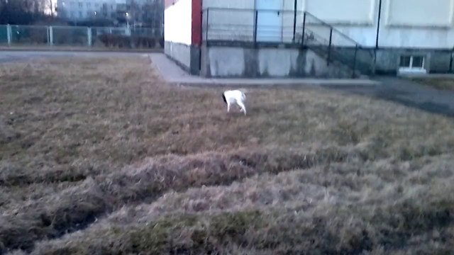 Подача после зимы