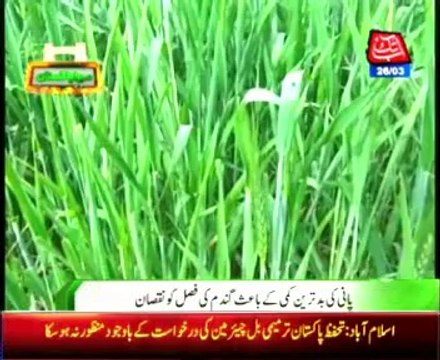 Rajanpur Drought started after irrigation water closed