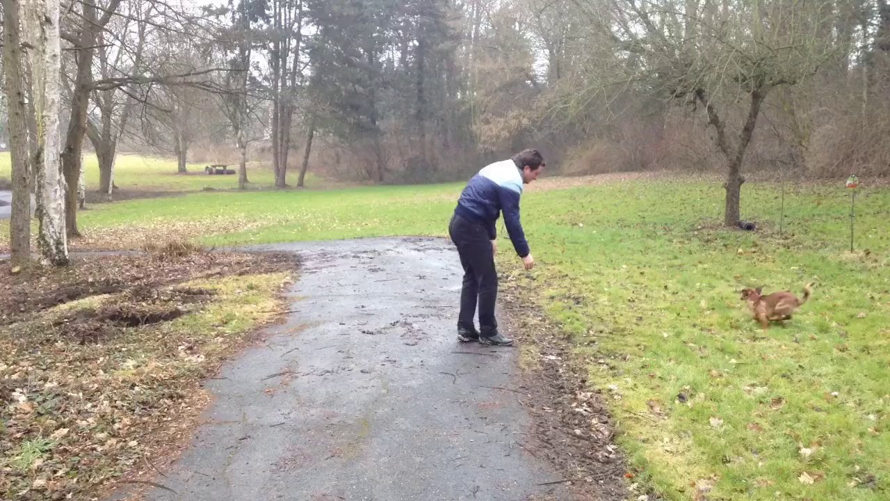 Almost Killed By A High Voltage Pole