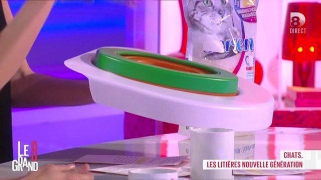Les chats vont pouvoir aller dans de vraies toilettes