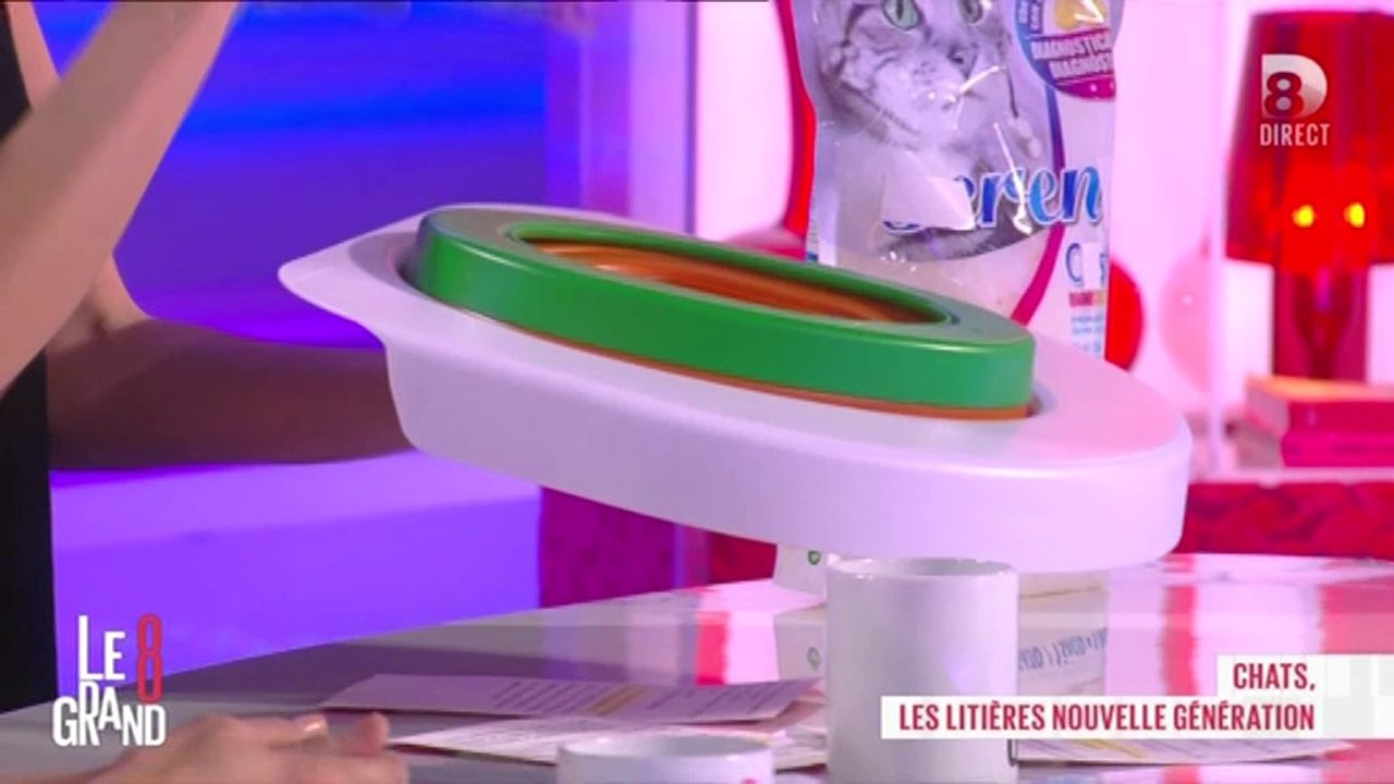 Les chats vont pouvoir aller dans de vraies toilettes