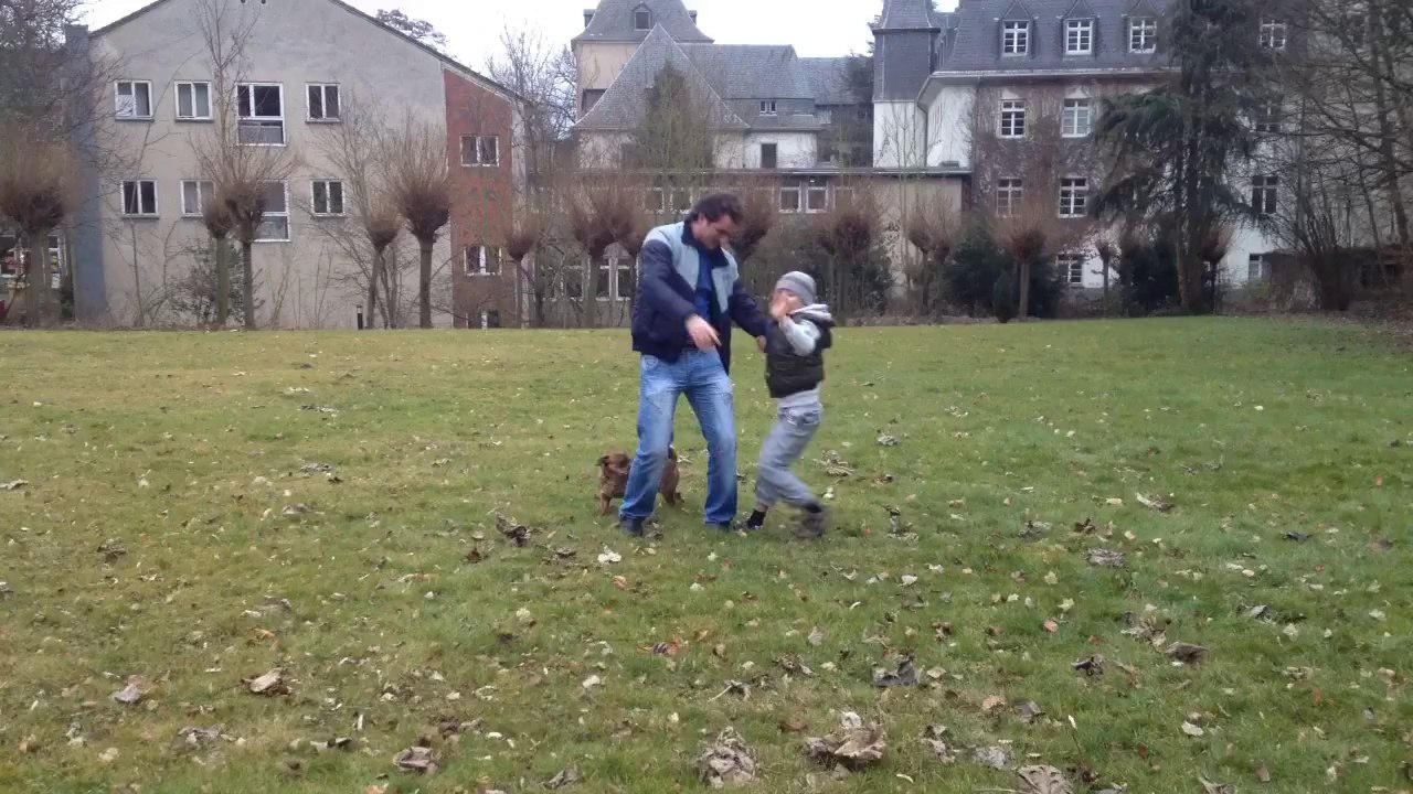 Dog crushed by a meteorite