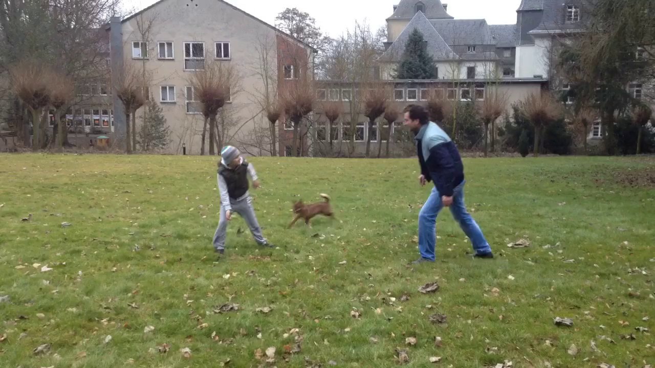 Nearly killed by a helicopter collapsed