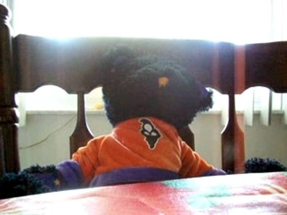 K-Fro Bear