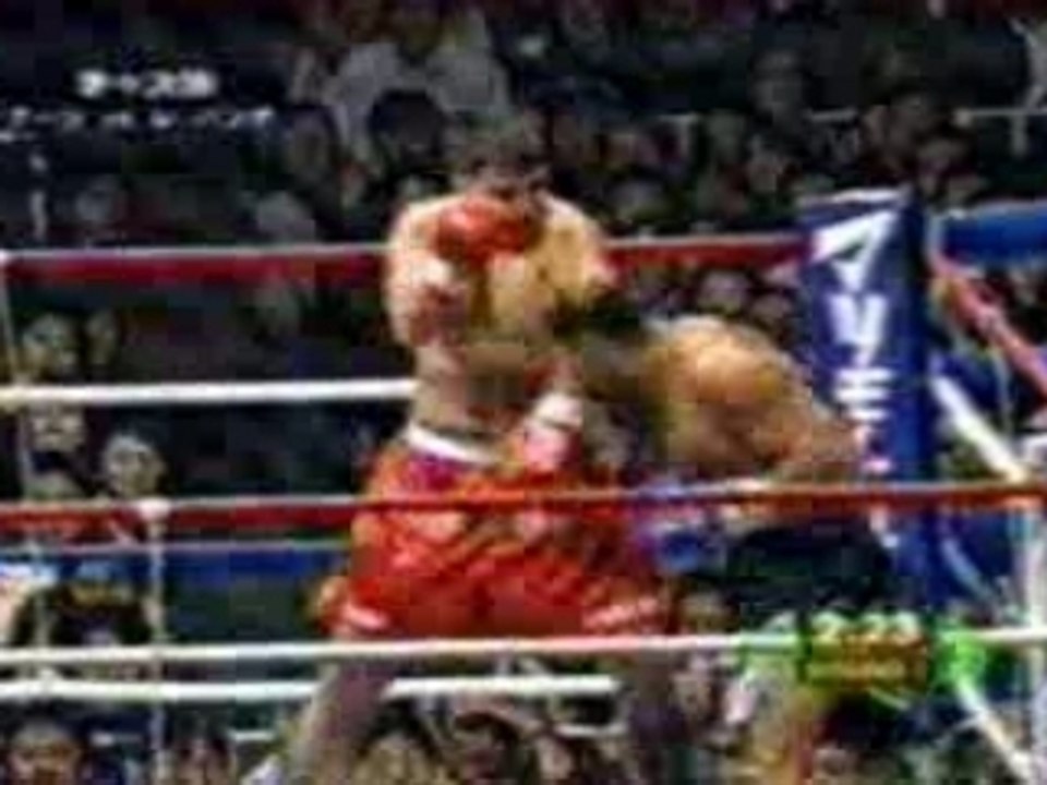 UFC Peter Aerts vs Jerome LeBanner