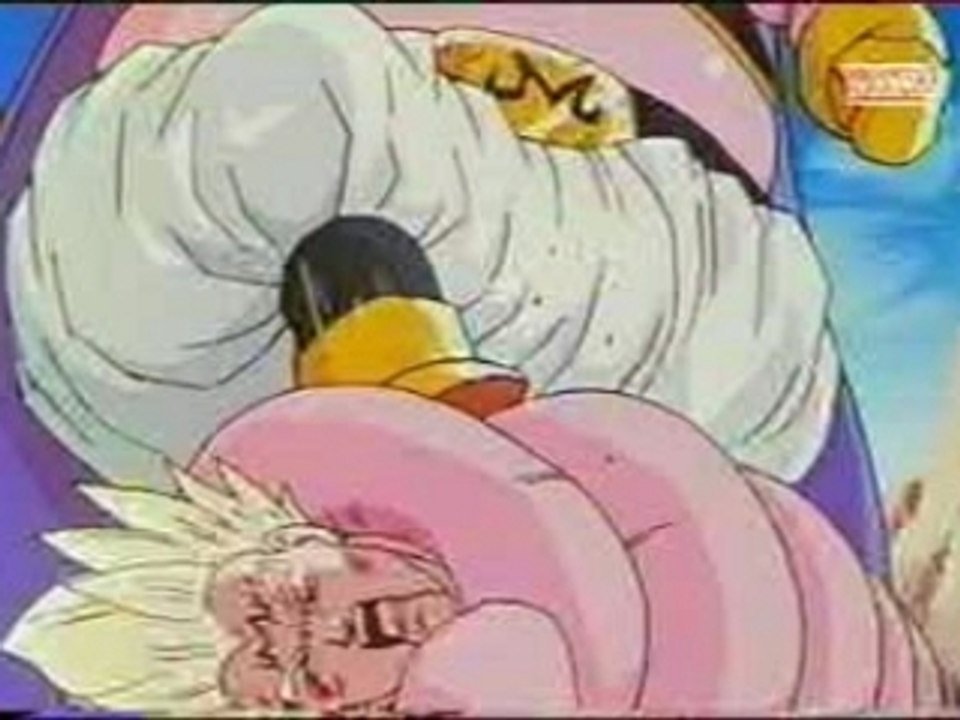 dragon ball z