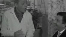 Veggos - pote tin kyriaki