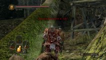 Dark Souls 2 Gameplay Walkthrough #5 | Forest of Fallen Giants Part 1 | NG  Lvl200 