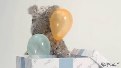 Teddy ❤ Party Balloons