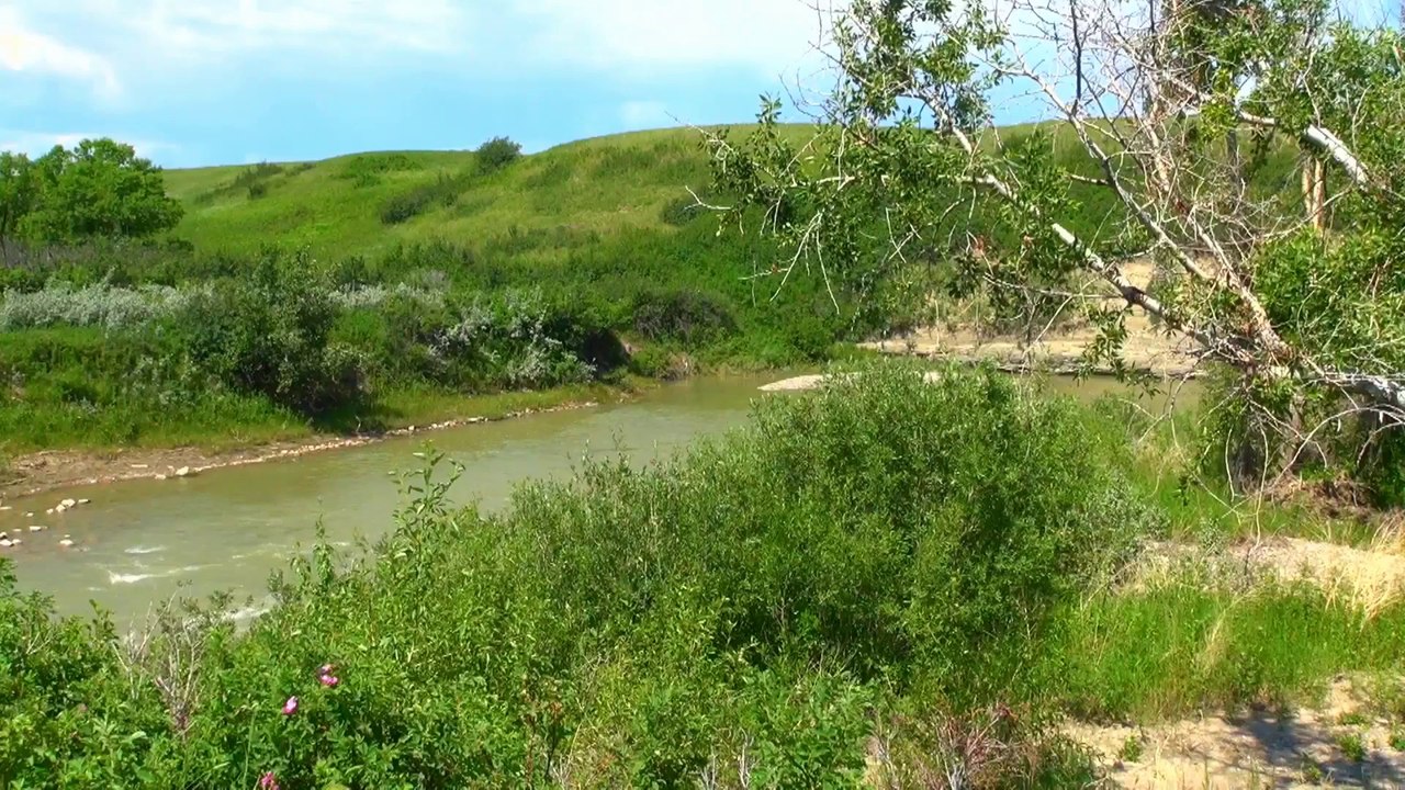 Playing around Willow Creek PP.