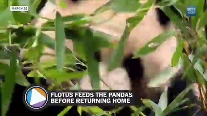 The first lady&apos;s trip to China in 90 seconds