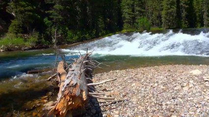Livingstone Falls in Foothills.