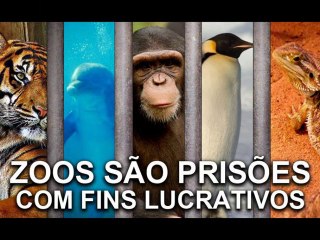All Zoos Are Evil - #FreeArturo