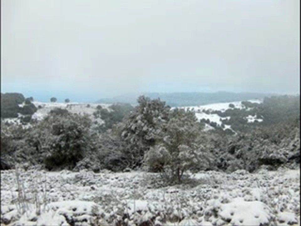 WHITE JERUSALEM
