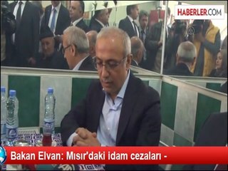 Bakan Elvan: Mısır'daki idam cezaları -