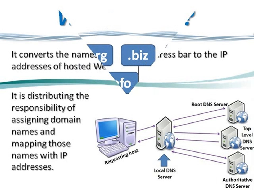 Australian Domain Name