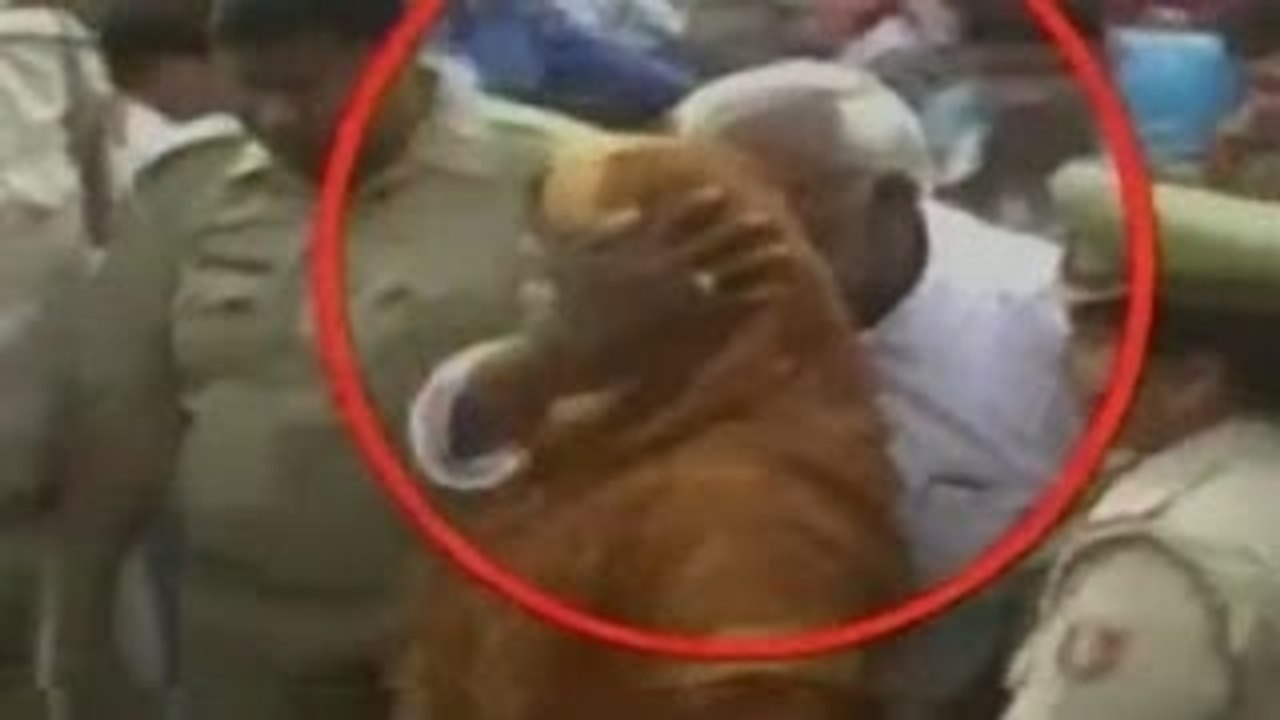 SHOKING | Nagma Publically Kissed By MLA Gaj Raj Sharma