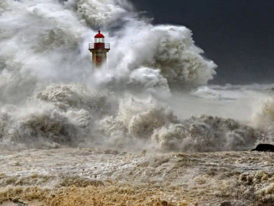 HOME INSURANCE
