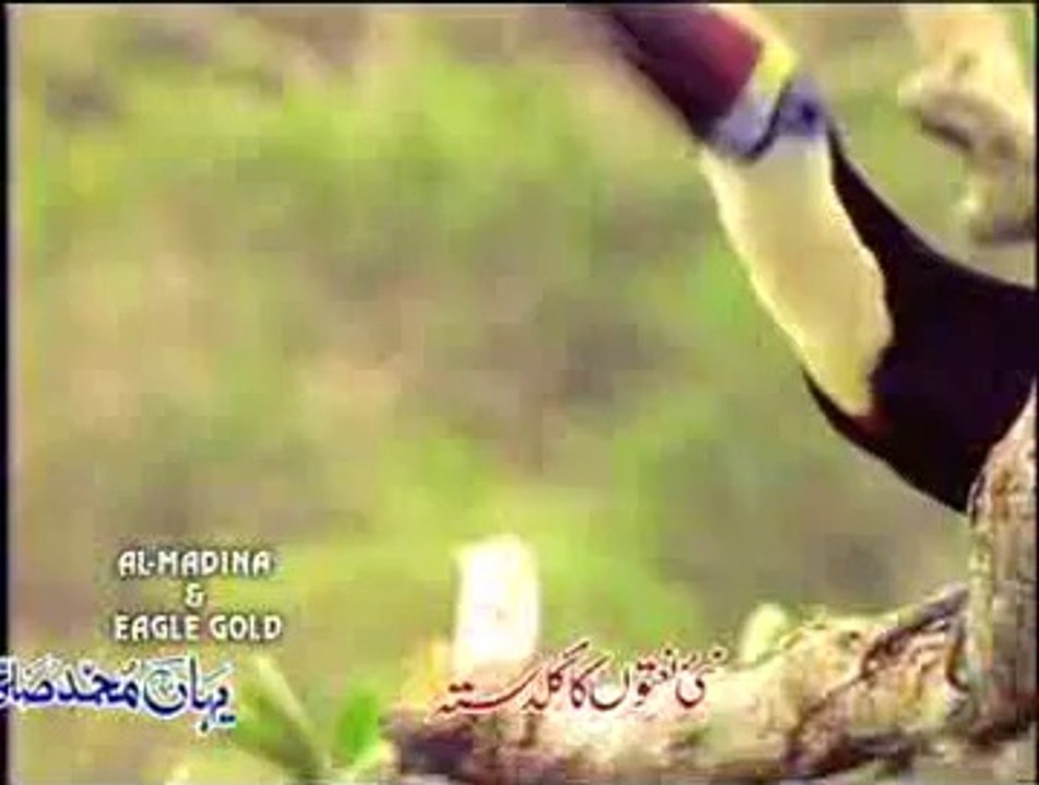 Zameen Se Lekar Aasman Tak- Full HD Latest Naat By Al Haaj Fasih Uddin Sohervardi
