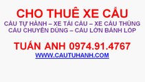 Cho thuê cẩu bánh lốp 0974914767