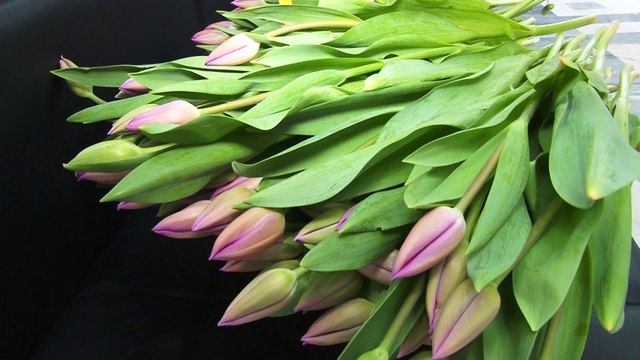 Поздравление арендаторов Бизнес-центра Нагатинский с 8 марта.