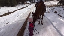 Adorable Little Girl Leads Her Horse