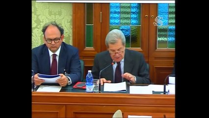 Roma - Audizione dell'amministratore delegato dell'Enel (26.03.14)