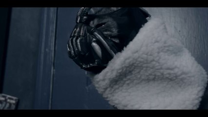 Bane Cat Is The Perfect Animal Adapation Of Bane