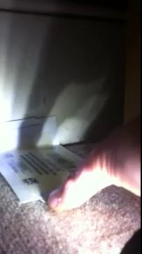 Mice control in London by Environ pest control part 1