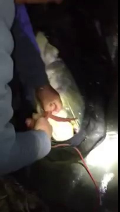 Jimmy -cranks- Clark fighting a catfish on the Ebro part 3